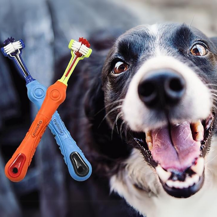 2-piece-triangular-pet-toothbrush-tartar-control-for-healthy-teeth-08dd8a79_99bbc189-4001-4c88-aad8-e7c9e7e0bd08
