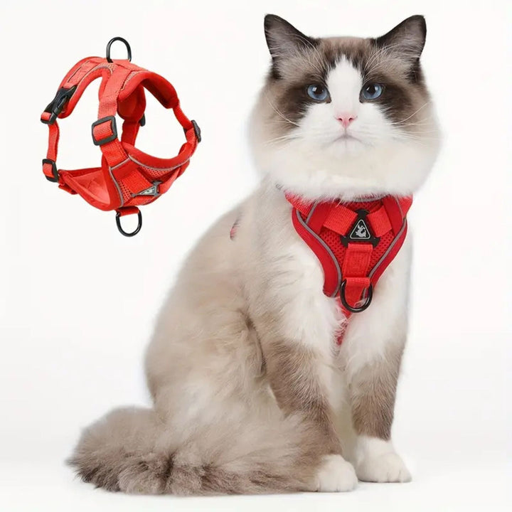 anti-escape-cat-harness-catwalks-a38e1e3e_38412b81-f75d-408a-b977-fbeeebd07168