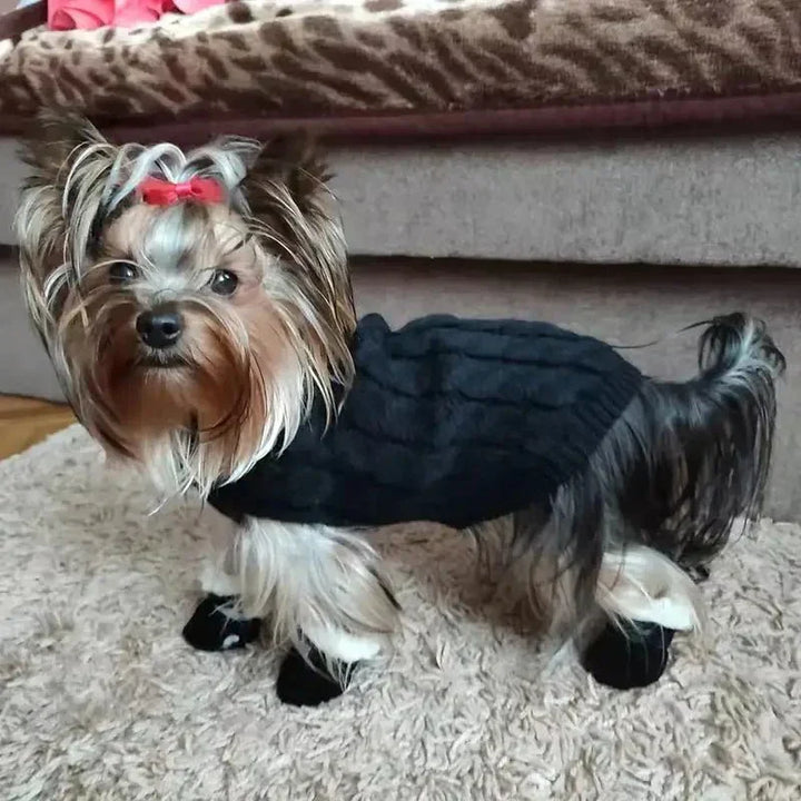 cozypaws-dog-waterproof-boots-4fe34141_b522c651-0b8b-4094-bdee-a38a348d55aa