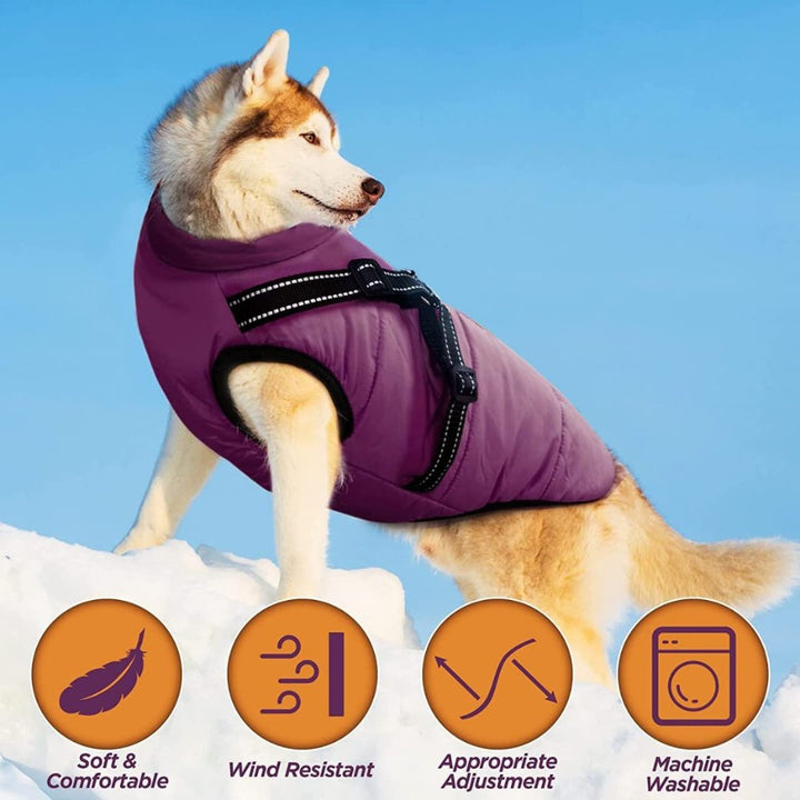 drypaw-waterproof-dog-coat-e60ab9aa_dc616b7a-1ca7-4b1b-9852-b47f3d58ced1
