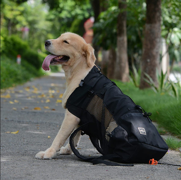 niki-dog-backpack-carrier-3afa3a50_618d59b5-d8b4-4400-bab8-dae6e607327e