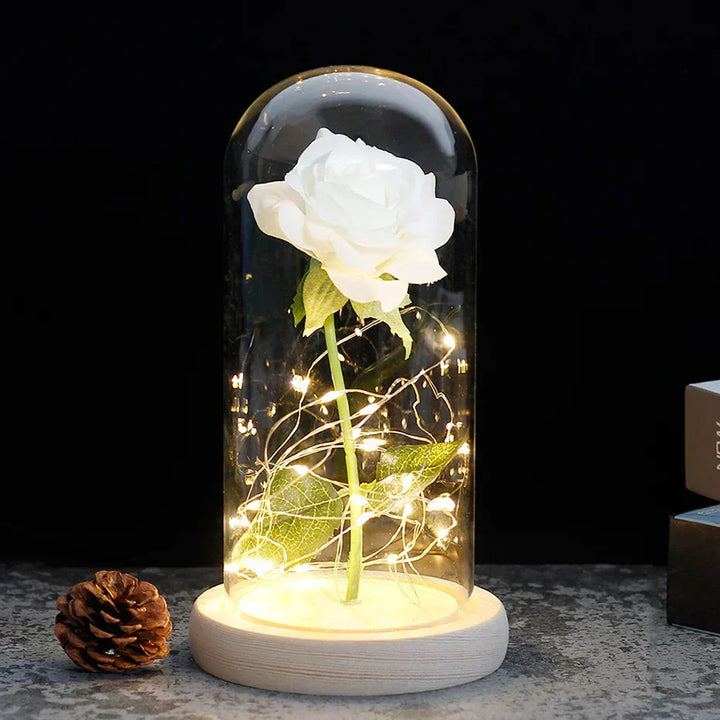 niki-eternal-rose-in-glass-dome-with-atmospheric-led-lighting-1e012f84_fe701ac6-6373-485d-b435-02fcec291866