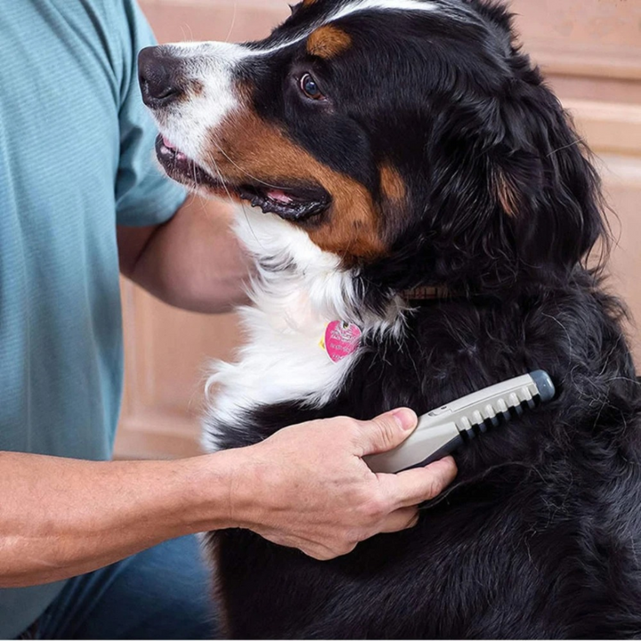niki-no-more-knots-tangles-pet-comb-11b5c6be_6dca3f1b-6051-4888-b3d2-bd6fddcca0c5