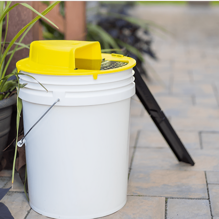 reusable-bucket-lock-rodent-trap-061c6397_c3ff77a1-c22c-4f35-96dd-b76de5a64129