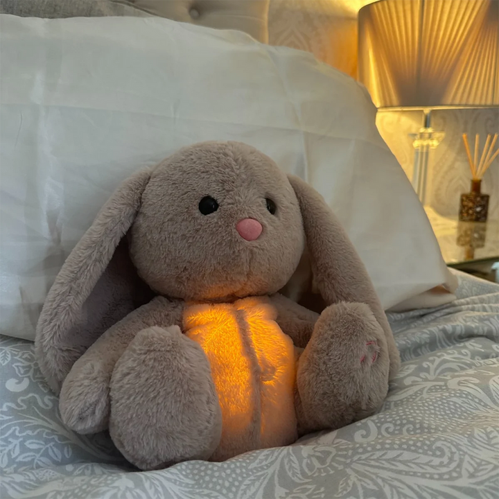 soothing-plush-toy-1919d9af_4544b562-63e8-4856-91d0-4986fe4e3087
