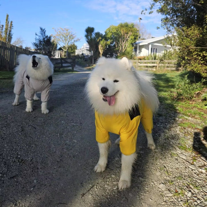 stormguard-dog-waterproof-raincoat-caa67a9c_b0cc616c-b3ab-421f-a896-a2af0fe57f68