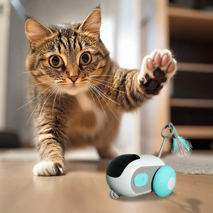 turbochase-interactive-cat-chase-toy-84f416db_d9feaae2-3320-48c5-a244-5e8c49cb929c
