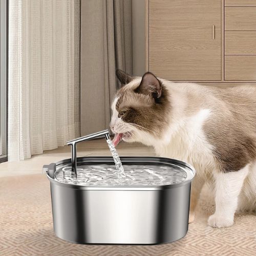 water-fountain-for-cats-stainless-steel-fountain-caf8ec1d_3e457d64-f4f0-4ee2-b493-40b06e0aef49